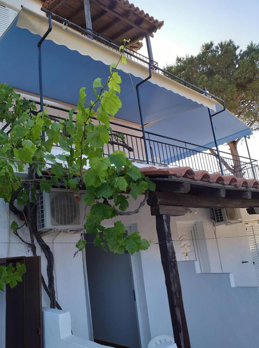 טרולוס Villa Elpiniki מראה חיצוני תמונה