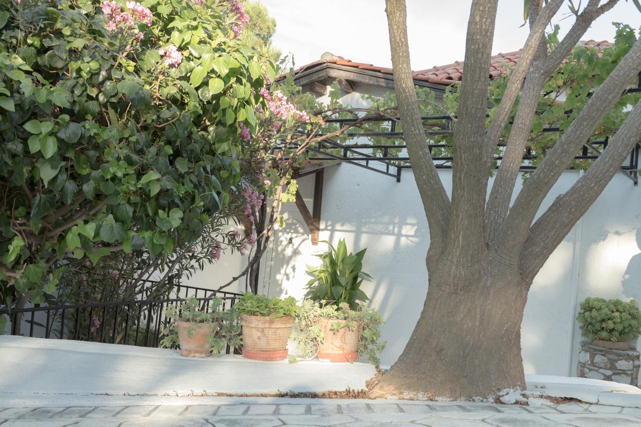 טרולוס Villa Elpiniki מראה חיצוני תמונה
