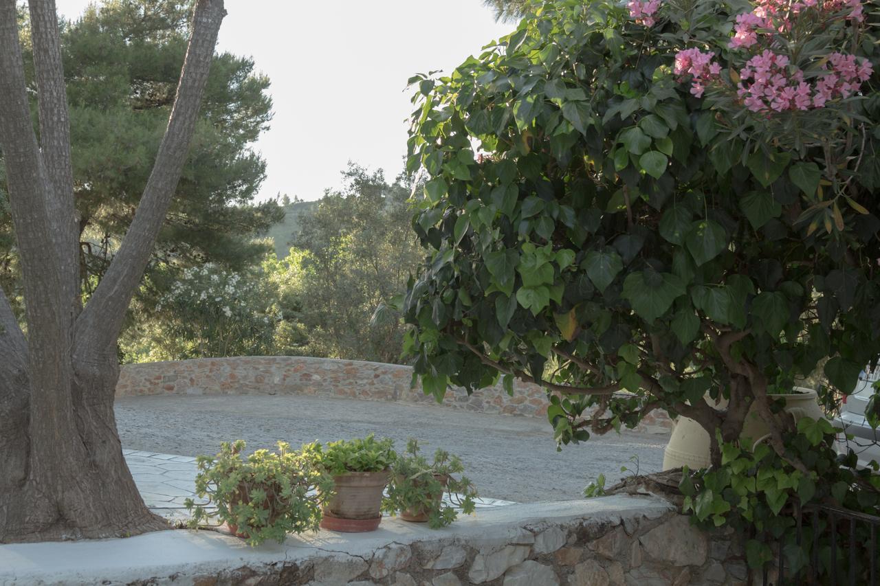 טרולוס Villa Elpiniki מראה חיצוני תמונה
